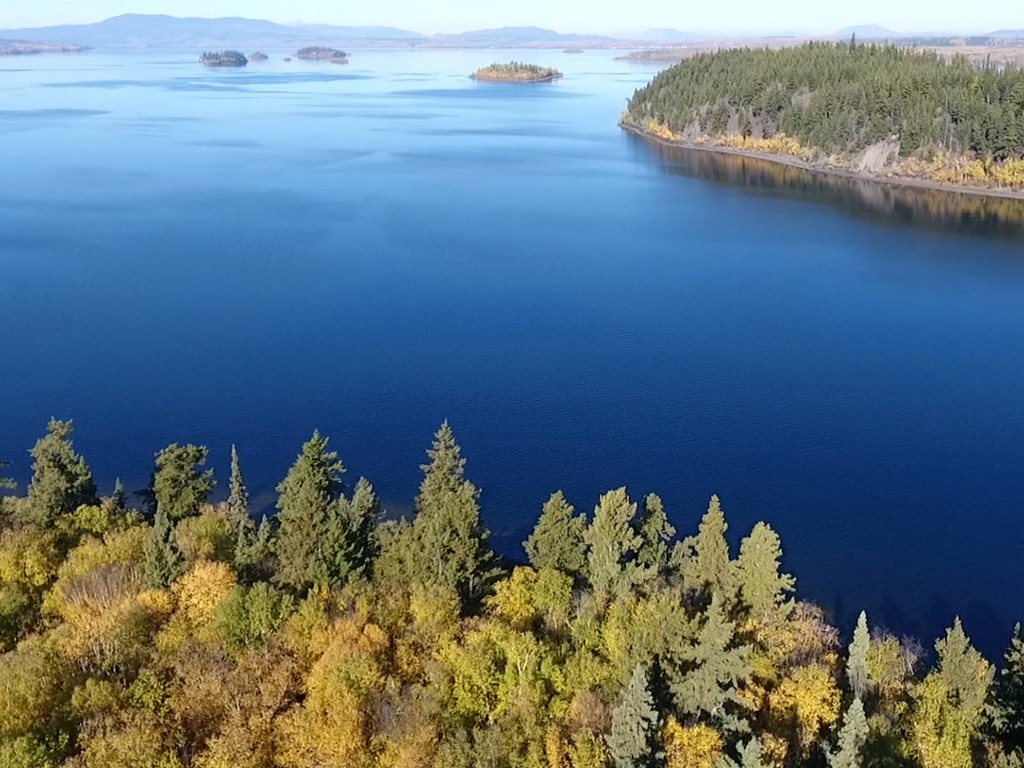 Large 5.4 Acre Lakefront Lot with 531 feet of shoreline on Baynes