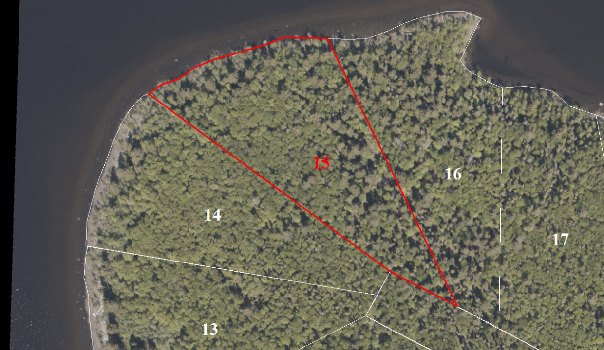 Large 5.4 Acre Lakefront Lot with 531 feet of shoreline on Baynes Island, Stuart Lake BC